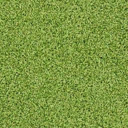 PUTTING GREEN TURF 78 - gyq3vm9ife3jhvs9sdqc_800x500@2x.jpg