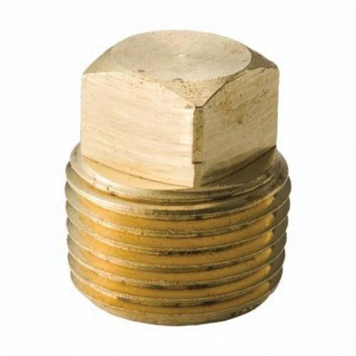 Plug, 1/8 in, MNPT, Lead Free Brass, Rough Brass, Domestic - h6warwtdnpuvwuirsp1e_x500.jpg