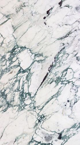 Breccia Capraia - hbh2fbwgxksqbtbe8wbi_x500.jpg