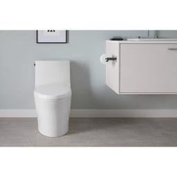 Veil One-piece Elongated Dual-Flush Toilet with Skirted Trapway - hbpwv4uidfa702ahklru_x500.jpg