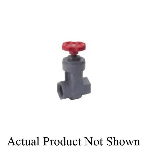 Spring Check Valve, 3/4 in, FNPT, PVC - hfeuxz3ujpkoaulstznu_x500.jpg