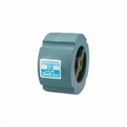 Silent Check Valve, 2-1/2 in, Wafer, Cast Iron - hgxtwzwx5yorqpslbft8_800x500@2x.jpg