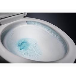 Cimarron® Toilet Bowl, Floor Mount, 12 in Rough, Elongated, White - hiwvxbeegl4fl9frfpny_x500.jpg