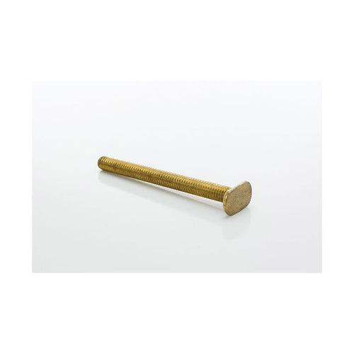 Closet Bolt, 5/16 x 3-1/2 in L Thread, Brass - hmf6ysw0mvltpakmoghr_x500.jpg