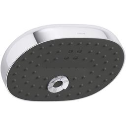 Statement 1.75 GPM Multi Function Shower Head with MasterClean Sprayface and Katalyst Air Induction Technology - hwnxvcecoeykarrdlmz9_x500.jpg