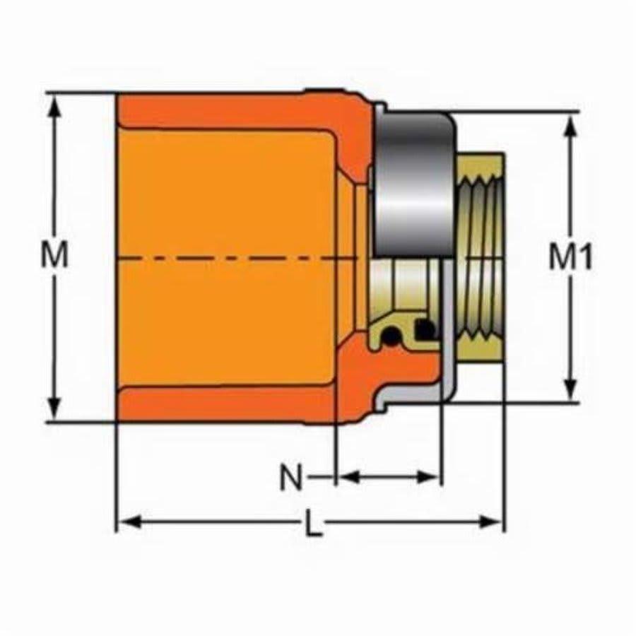 FlameGuard® TorqueSafe™ Adapter, 1 x 3/4 in, Socket x Brass FNPT, CPVC - isgynumpjy1xqm6sf3se_800x500@2x.jpg