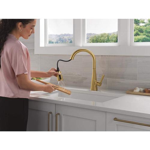 Lenta Single-Handle Pull-Down Kitchen Faucet with ShieldSpray - iyybx5cp4okuz3yzt24p_x500.jpg