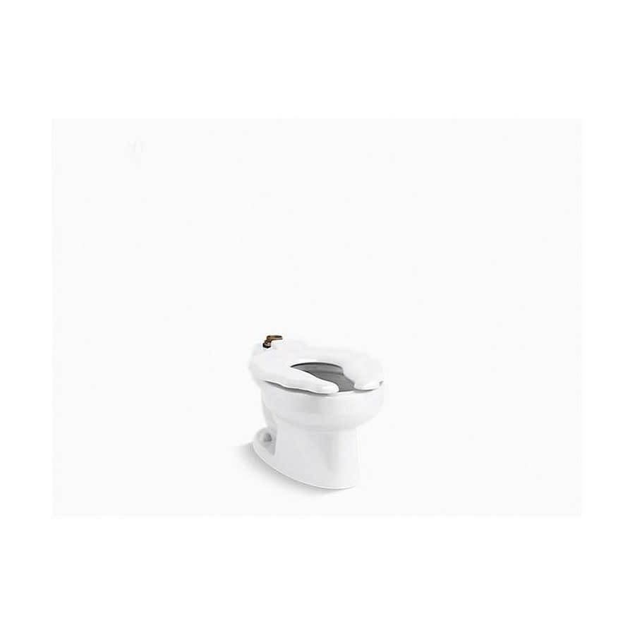 Primary™ Toilet Bowl, Floor Mount, 10 or 12 in Rough, ADA, Elongated, Flushometer, White - j50zvjge4m3oj2z3uuxi_800x500@2x.jpg