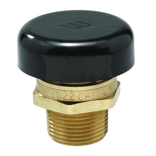 Vacuum Relief Valve, 3/4 in, MNPT, Brass - ja8actphhd8dtdrfsait_x500.jpg