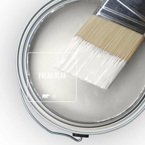 Behr Pro 5gal Ultra Pure White Extra Durable Satin Enamel Interior Paint & Primer - jq8h1s3ha4aluhpciug6_x500.jpg