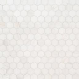 Bianco Dolomite 2” Hexagon Mosaic Tile - jvgkzwepviyg8voqs5n5_x500.jpg