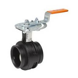 Butterfly Valve, Lever Handle, 2 in, Groove, Ductile Iron - jyfno0ywscopltqlnlky_800x500@2x.jpg