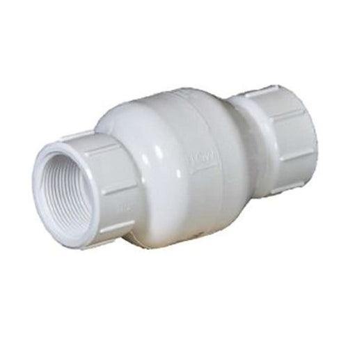 Spring Check Valve, 2 in, FNPT, PVC - kadbsr56mxyvz5ktaqmu_x500.jpg