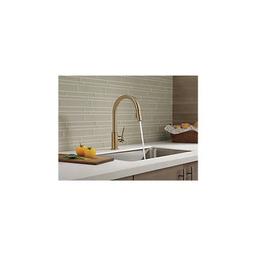 Trinsic® Kitchen Faucet, Deck Mount, ADA, 1 Lever Handle, 1-Hole, Champagne Bronze - kbmptlgff22jddyft7uk_x500.jpg