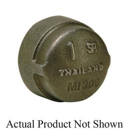 Cap, 1/2 in, FNPT, 300 lb, Malleable Iron, Black - kjcxoyhd7ztl8ln72r02_x500.jpg