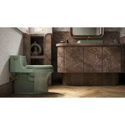 San Souci 1.28 GPF Elongated One-Piece Comfort Height Toilet with AquaPiston Technology - Seat Included - km2mozgqgddooktx55r2_x500.jpg