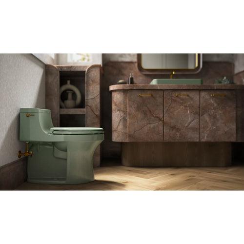 San Souci 1.28 GPF Elongated One-Piece Comfort Height Toilet with AquaPiston Technology - Seat Included - km2mozgqgddooktx55r2_x500.jpg