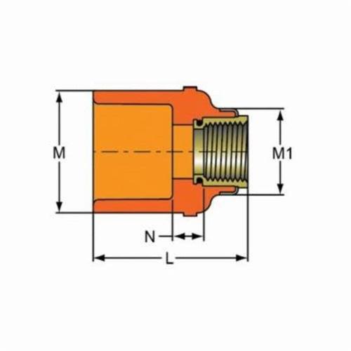 FlameGuard® Adapter, 1 x 1/2 in, Socket x Brass FNPT, CPVC - knamzuqhai7ycliso7os_x500.jpg