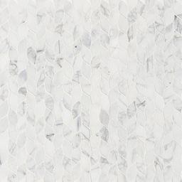 Calacatta Blanco Pattern Polished - ky52wtdyuttp3uq54g9n_x500.jpg