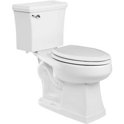 Holyoke Elongated Toilet Bowl Only - ldozluvvs7t0uevcs0ta_x500.jpg