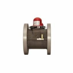 Horizontal Earthquake Valve, 4 in, Flange - lhasniakni1rwyfvdsxm_800x500@2x.jpg