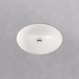 Comstock 19-1/2" Oval Vitreous China Undermount Bathroom Sink with Overflow - lj0fvfh7dsaxamla6r41_x500.jpg