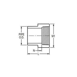 Female Adapter, 2 in, Spigot x FNPT, SCH 40/STD, PVC - lnlfhrozmuqek1mc816w_x500.jpg