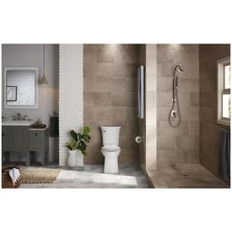 HydroRail Retrofit Shower with Shower Arm - ls8hhibdybuztbit8drw_x500.jpg