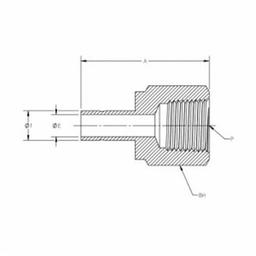 Female Adapter, 1/4 in, Tube x FNPT, 316/316L Stainless Steel - lsltexzkcpswwgsvhih3_x500.jpg