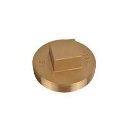 Raised Head Plug, 6 in, MNPT, Brass, Rough Brass - ltjnnuw98zrtcygkb6hx_x500.jpg