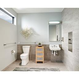 36" Bathroom Grab Bar - lx2ruiuu61yi66fwrl3b_800x500@2x.jpg