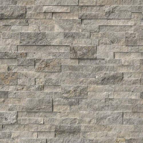 Silver Travertine - lxi2s7qvkocbfc0mochz_x500.jpg