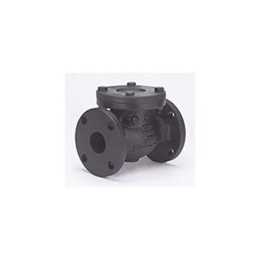 Swing Check Valve, 2-1/2 in, Flange, Cast Iron - lz4rzddojafwya1wnkum_800x500@2x.jpg