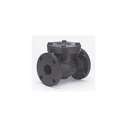 Swing Check Valve, 2-1/2 in, Flange, Cast Iron - lz4rzddojafwya1wnkum_x500.jpg