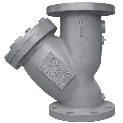 Strainer, 5 in, Flange, Cast Iron - m6zkusiakksy0bnmunbj_x500.jpg