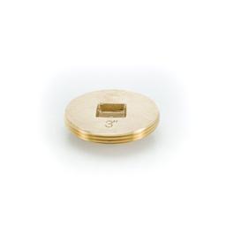 Countersunk Square Tapped Cleanout Plug, 3 in, 1/4-20, Brass - mbwve1pjlusgp3psik7d_800x500@2x.jpg