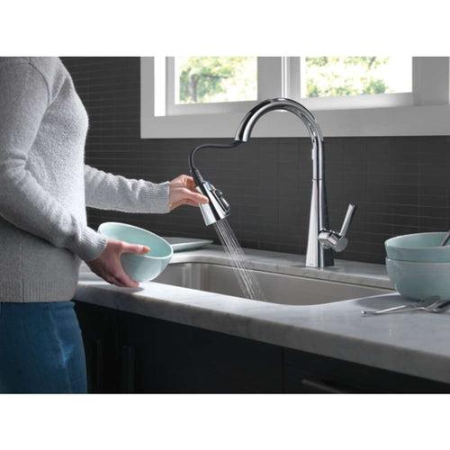 Lenta Single-Handle Pull-Down Kitchen Faucet with ShieldSpray - mcyyk1zqfhrhyqoud3fx_x500.jpg