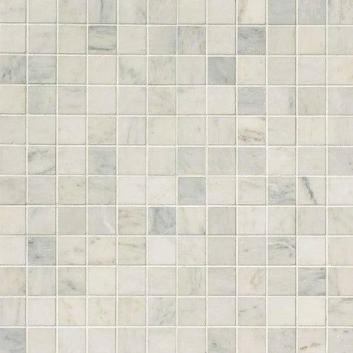 Arabescato Carrara 2x2 Honed in 12x12 Mesh - meafmqkgfdnadkixwi4u_x500.jpg