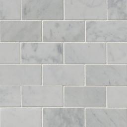 Carrara White Tile 2x4 - mgyasrfjsr04i6z5h0xs_800x500@2x.jpg