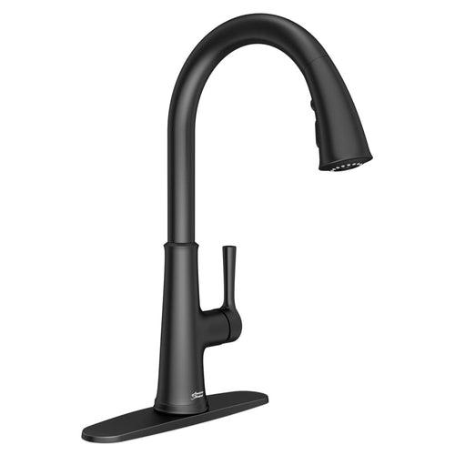 Renate 1.5 GPM Single Hole Pull Down Kitchen Faucet - Includes Escutcheon - mjwf3j3dbp3hxvy7zumf_x500.jpg