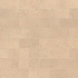 Aria Cremita Subway Tile 2X4 - moibwmjphgildhwwyfa5_x500.jpg