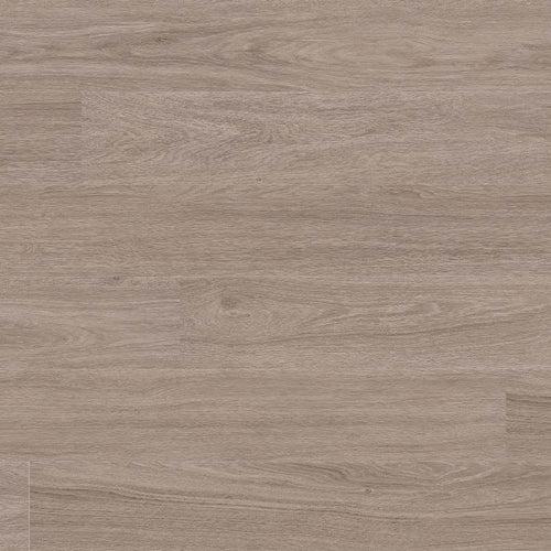 Katavia Bleached Elm® - mq4gwhtkytibpyhgc0sy_x500.jpg