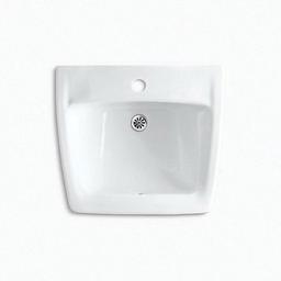 Chesapeake™ Wall Mount Lavatory Sink, ADA, 19-1/4 x 17-1/4 x 8-1/8 in, Vitreous China, White - mvo0ojjevzqxumuqy2k6_x500.jpg