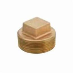 Plug, 1/2 in, MNPT, Lead Free Brass, Rough Brass - mxjr4rzademovghnqmcw_x500.jpg