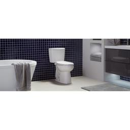 Nano® Toilet Bowl, Floor Mount, 12 in Rough, ADA, Elongated, White - mzbjdiwnzqrhg2wqssad_800x500@2x.jpg