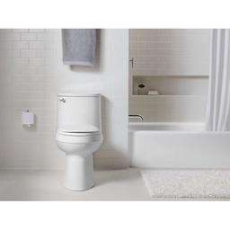 Adair 1.28 GPF One-Piece Elongated Comfort Height Toilet with AquaPiston Technology - Seat Included - ncfhvxykfph4nxbkhjta_x500.jpg