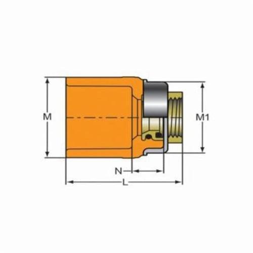 FlameGuard® TorqueSafe™ Adapter, 1 x 1/2 in, Socket x Brass FNPT, CPVC - nenxirclv8dkq8yuvkbz_x500.jpg