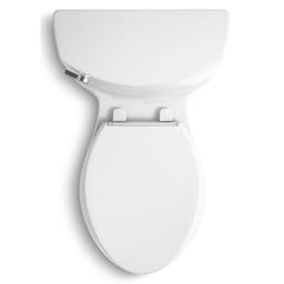 Cimarron 1.28 GPF Elongated One-Piece Comfort Height Toilet with AquaPiston Flush Technology - Seat Included - ngcnnz7uk0zxwkapy878_800x500@2x.jpg