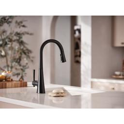 Kurv 1.5 GPM Single Hole Pull Down Kitchen Faucet - ngkodl5c00fbjdbps7ax_x500.jpg