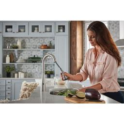 Arbor Pull-Down High Arc Kitchen Faucet with MotionSenseâ¢, Power Cleanâ¢, and Reflexâ¢ Technology - Includes Escutcheon Plate - nmh1hbgjcmucq9nu1d2n_x500.jpg